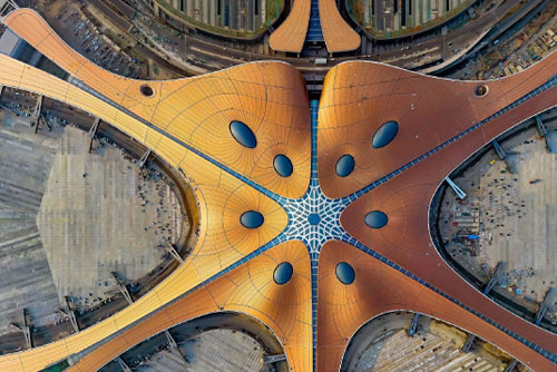 精品久久久久久无码中文字幕一区