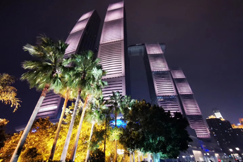 精品久久久久久无码中文字幕一区