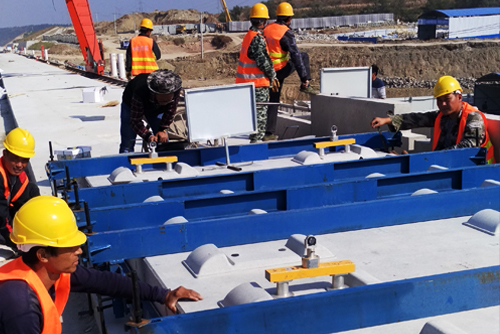 精品久久久久久无码中文字幕一区