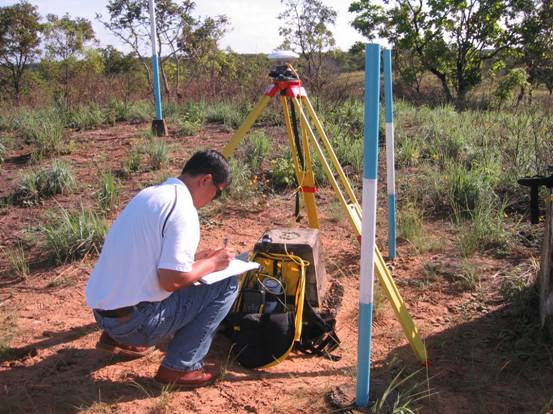 精品久久久久久无码中文字幕一区