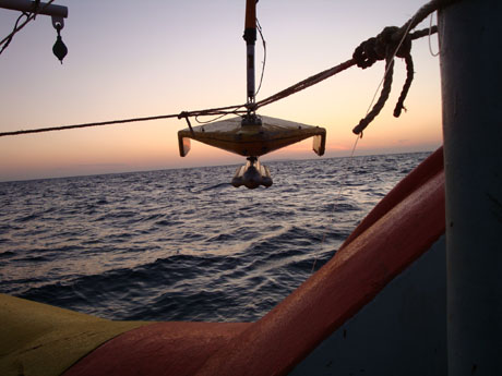 精品久久久久久无码中文字幕一区