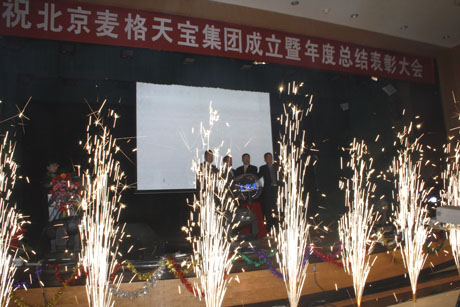 精品久久久久久无码中文字幕一区