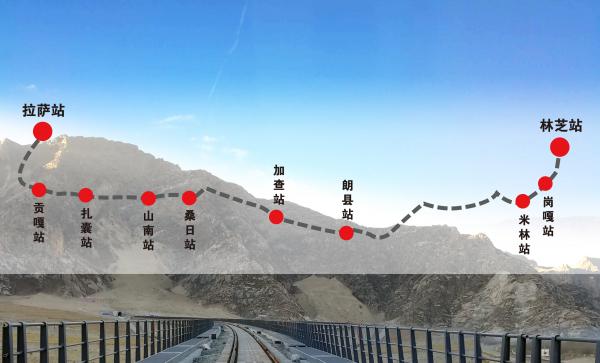 精品久久久久久无码中文字幕一区