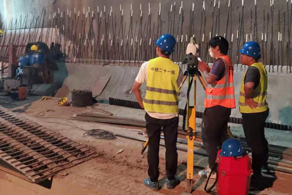 精品久久久久久无码中文字幕一区